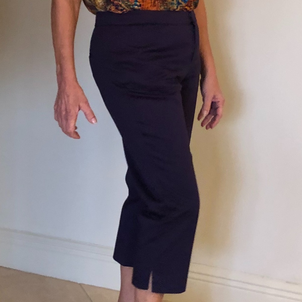 Coldwater Creek Purple Capri Pants